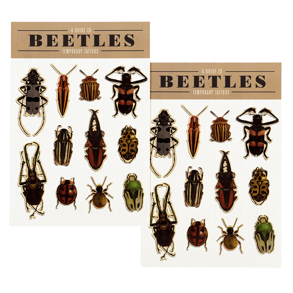 
                  
                    Beetles Temporary Tattoo
                  
                