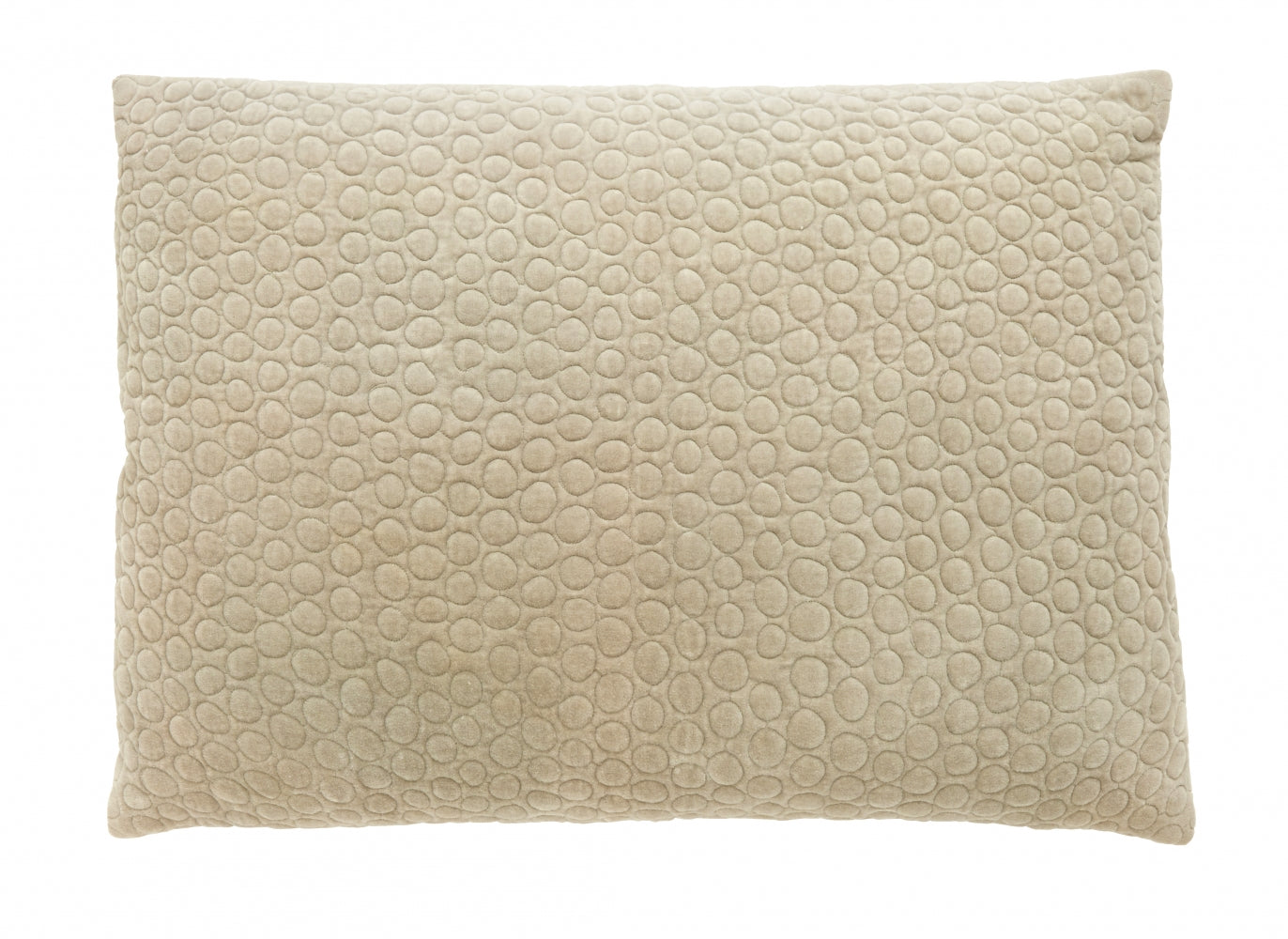 
                  
                    MIZAR Pistach Grey Velvet Cushion
                  
                