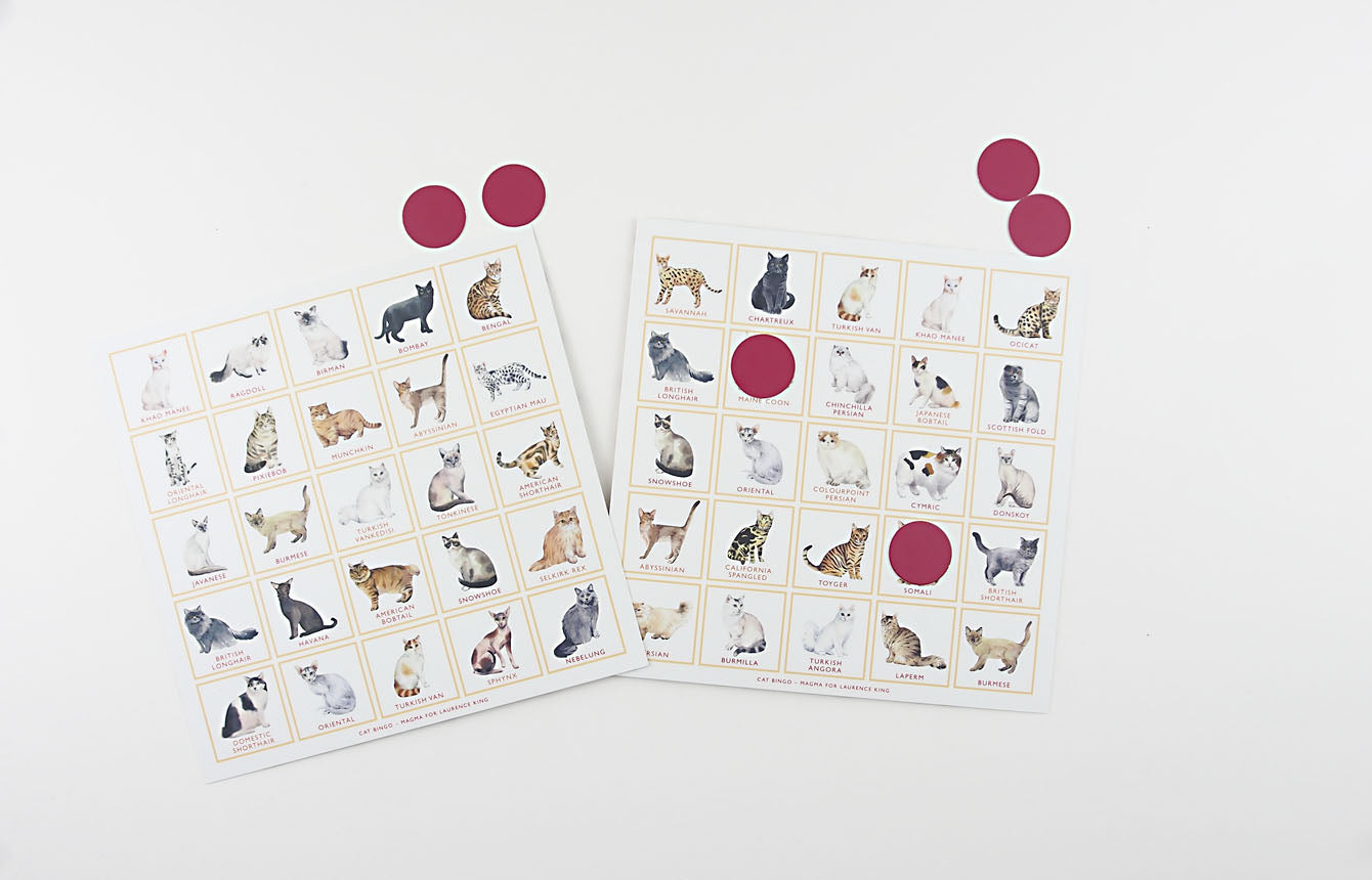 
                  
                    George Cat Bingo-Spiel
                  
                