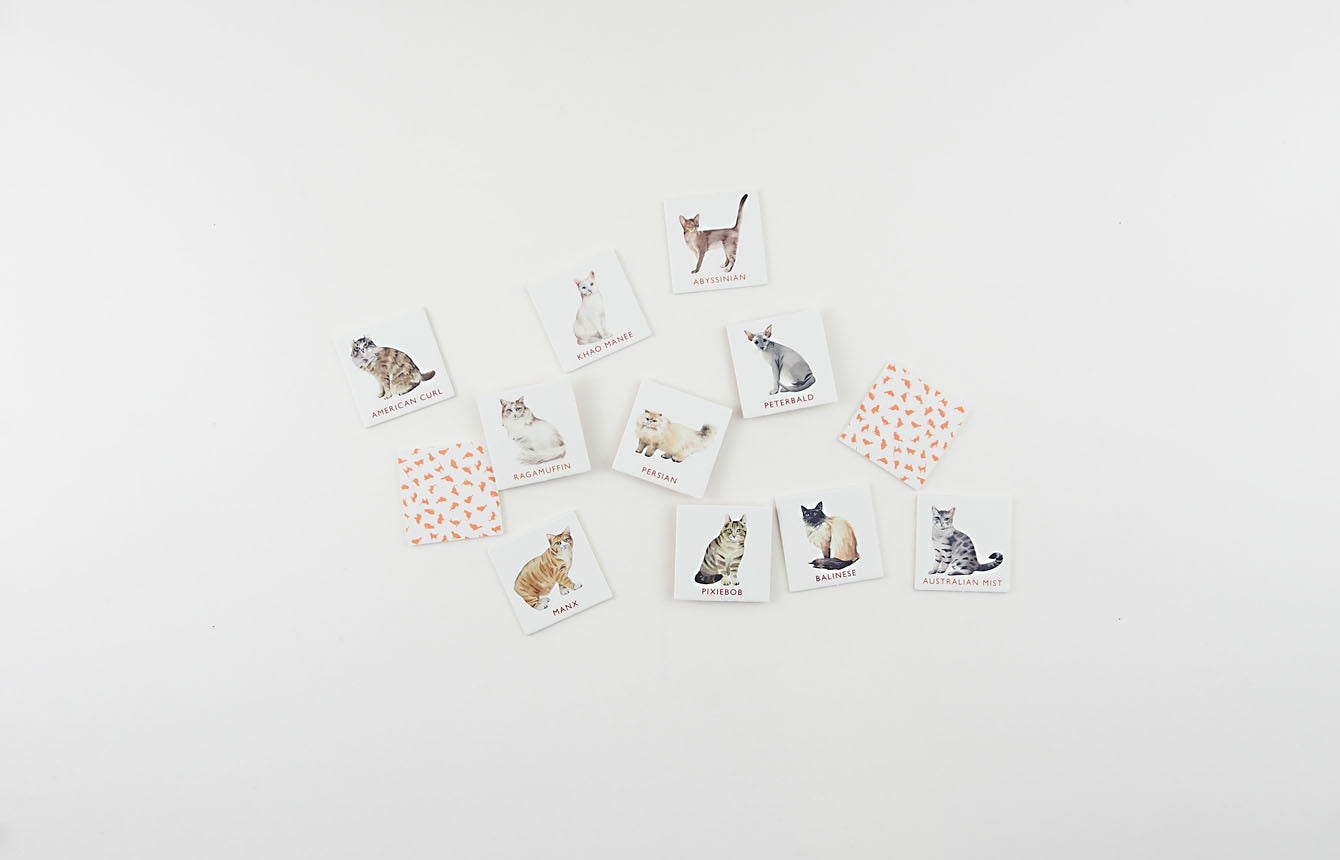 
                  
                    George Cat Bingo-Spiel
                  
                