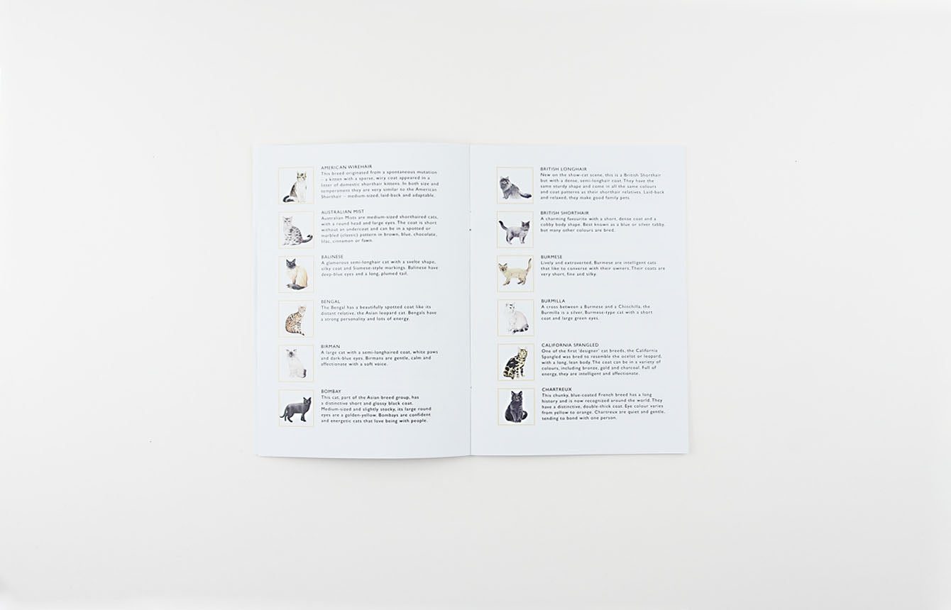 
                  
                    George Cat Bingo-Spiel
                  
                