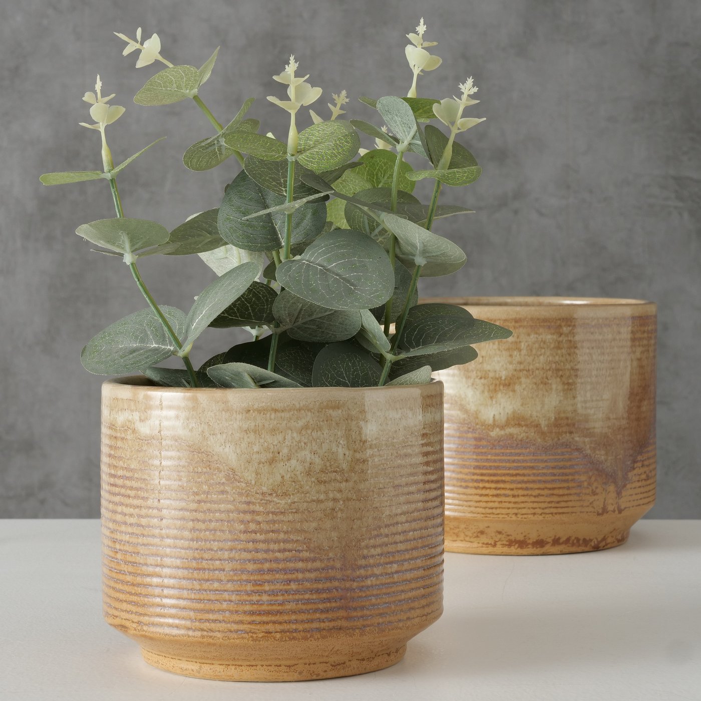 
                  
                    ELIKIA Medium Colour-Mix Plant Pot
                  
                