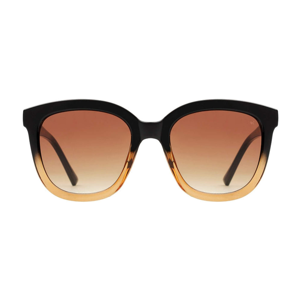 BILLY Black Brown Transparent Sunglasses