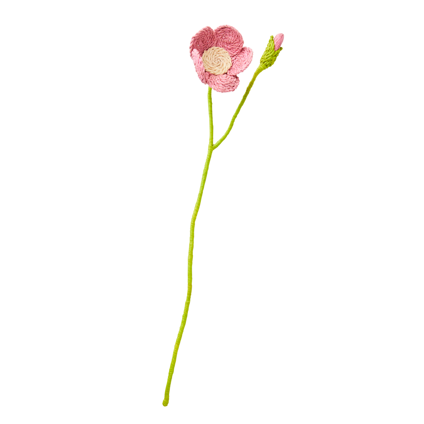 
                  
                    Rosenbastblume
                  
                