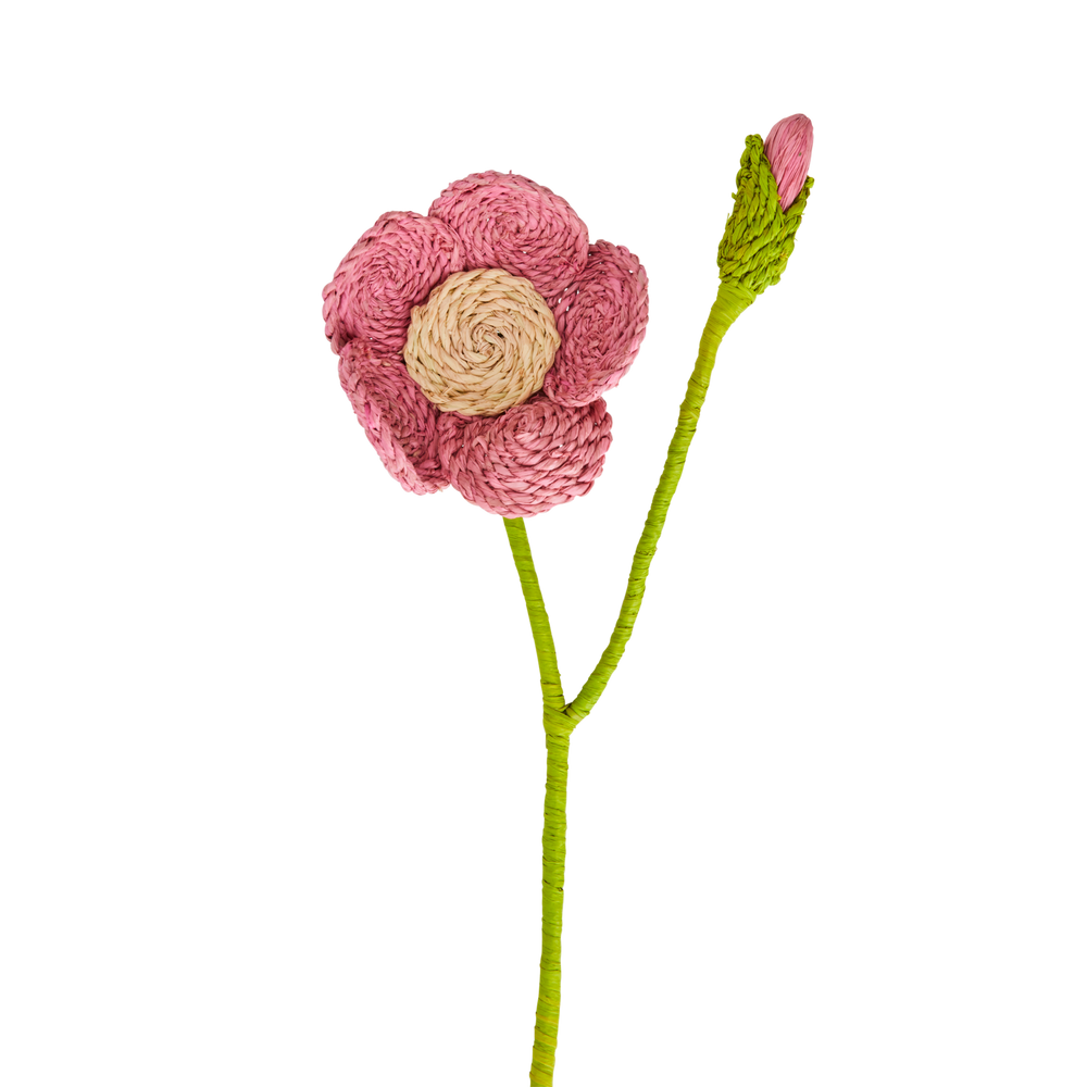 Rosenbastblume