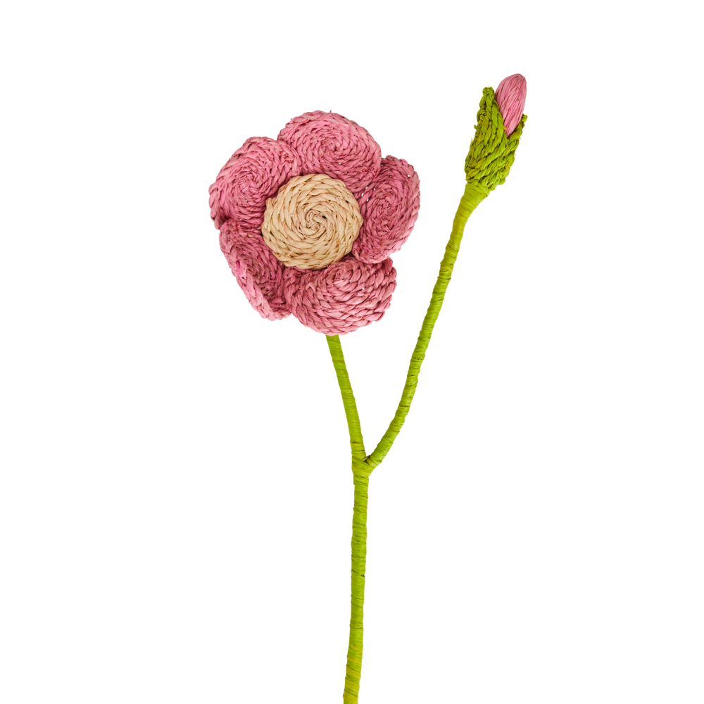 
                  
                    Rosenbastblume
                  
                