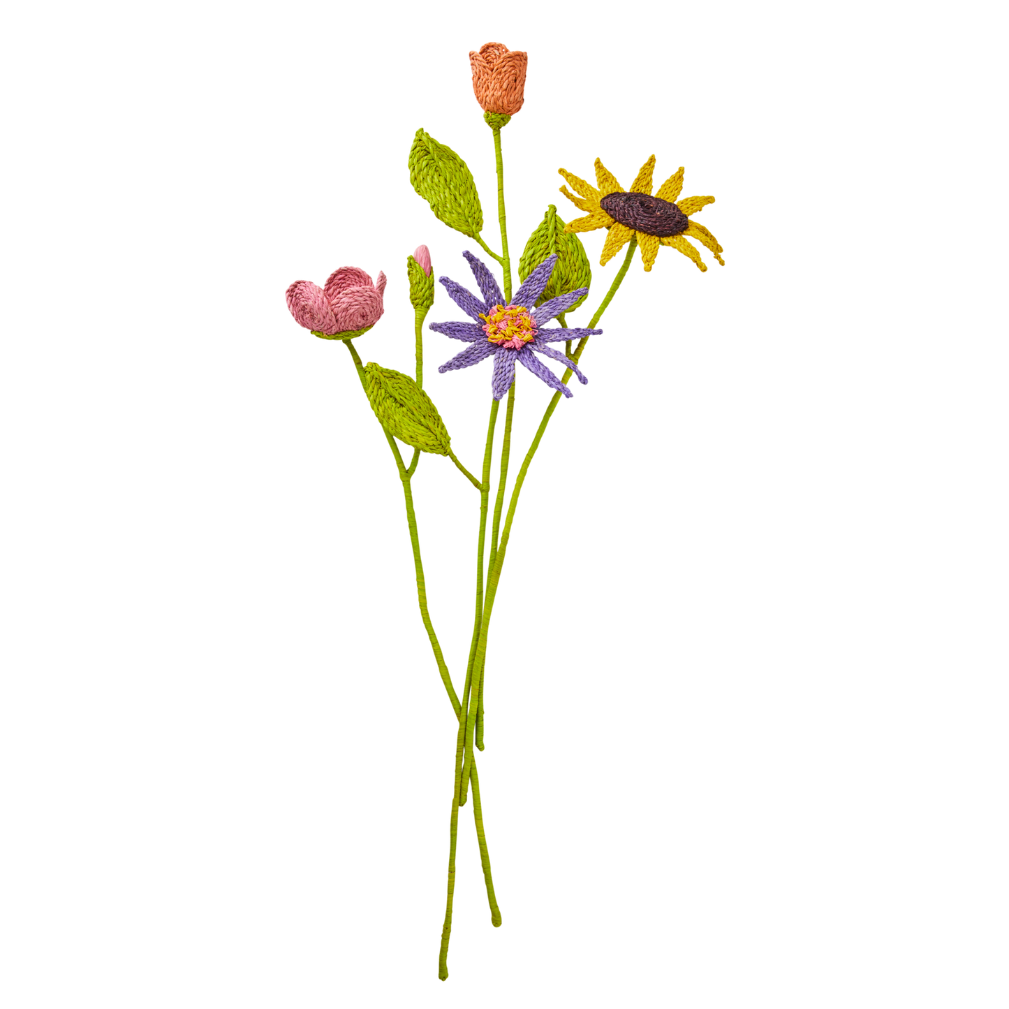 
                  
                    Rosenbastblume
                  
                