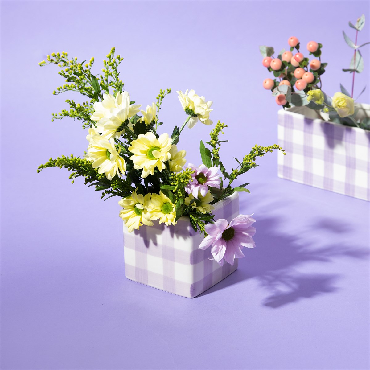 
                  
                    Lila Gingham-Pflanzer
                  
                