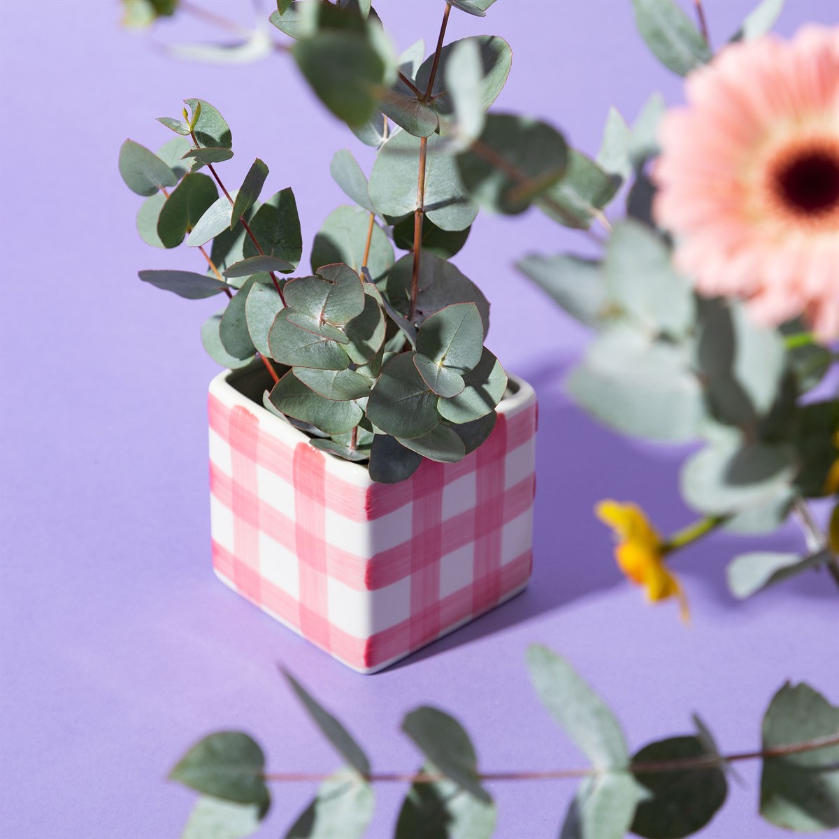 
                  
                    Rosa Gingham-Pflanzer
                  
                