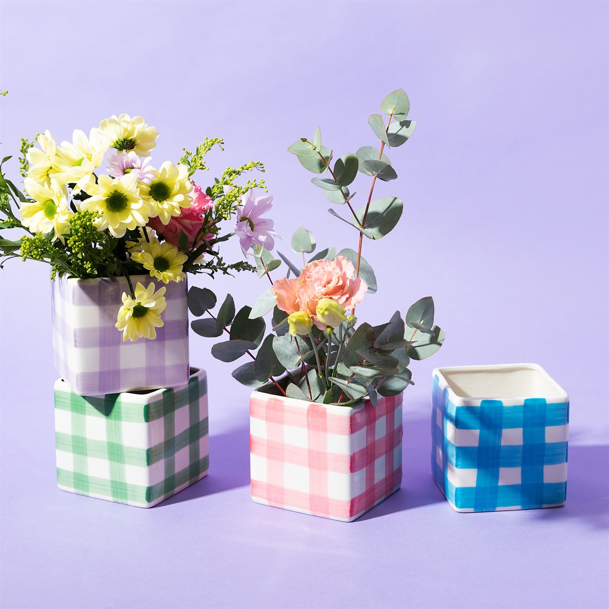 
                  
                    Rosa Gingham-Pflanzer
                  
                