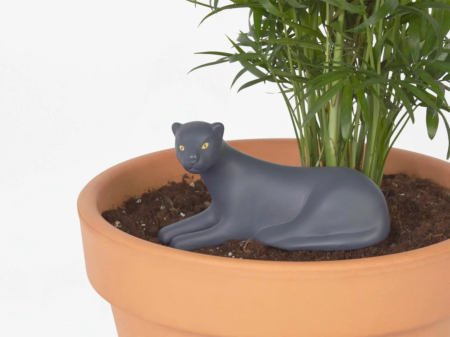 
                  
                    Jangal Panther Pflanzenbewässerung 
                  
                