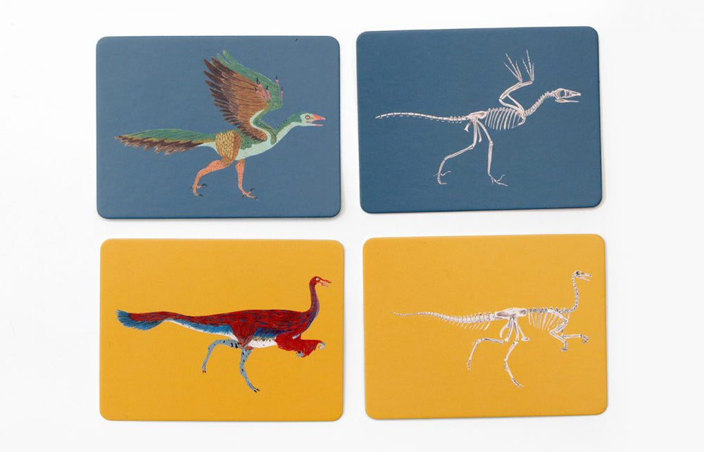 
                  
                    Dinos Und Ihre Knochen Memo Game
                  
                