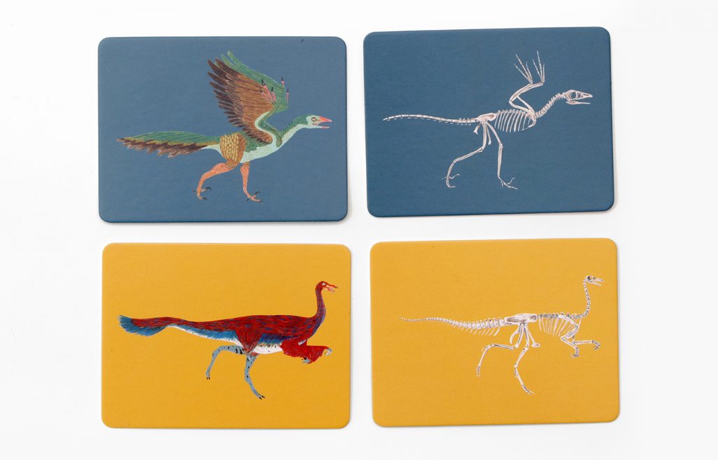 
                  
                    Dinos Und Ihre Knochen Memo Game
                  
                