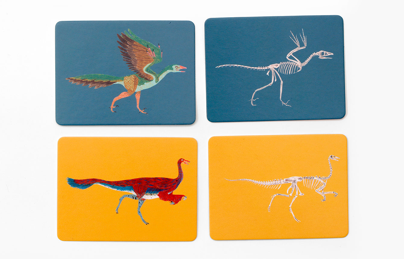 
                  
                    Dinos Und Ihre Knochen Memo Game
                  
                