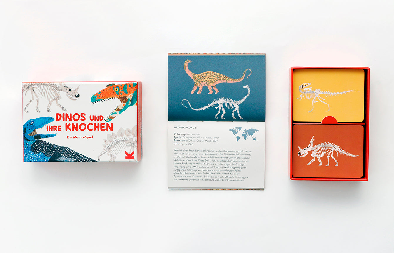 
                  
                    Dinos Und Ihre Knochen Memo Game
                  
                