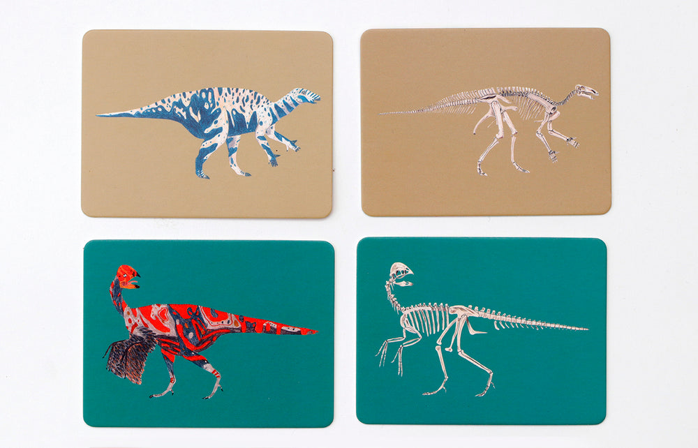 
                  
                    Dinos Und Ihre Knochen Memo Game
                  
                