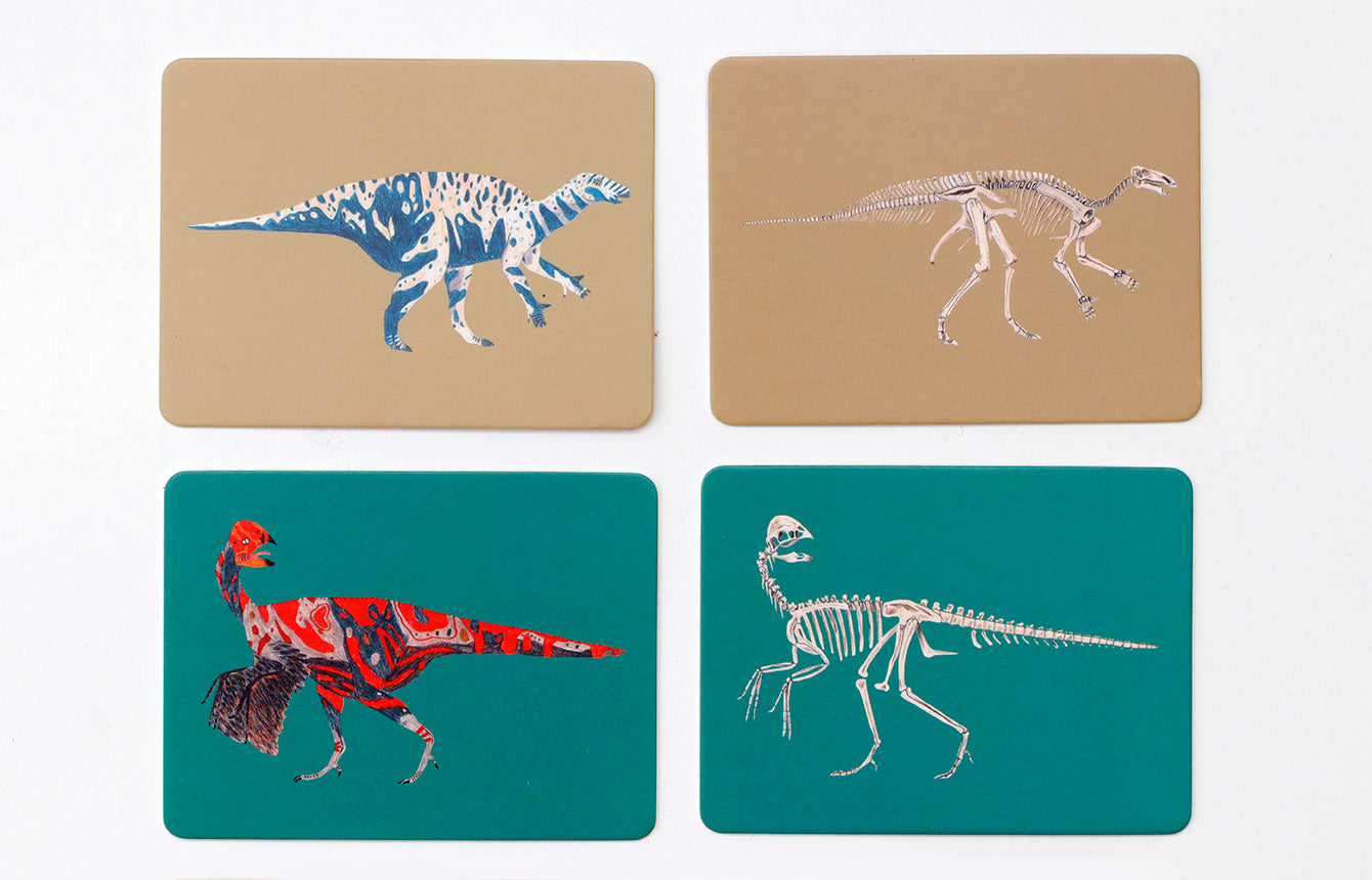 
                  
                    Dinos Und Ihre Knochen Memo Game
                  
                