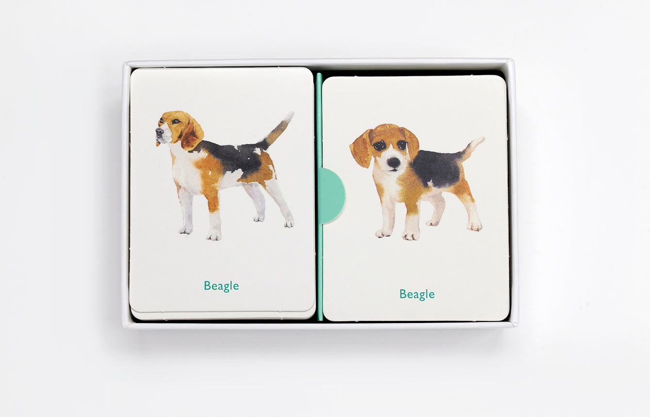 
                  
                    Hunde und Ihre Welpen Merkspiel
                  
                