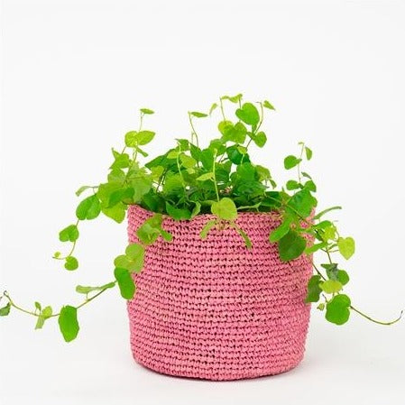 
                  
                    RAFFIA Small Pink Basket
                  
                