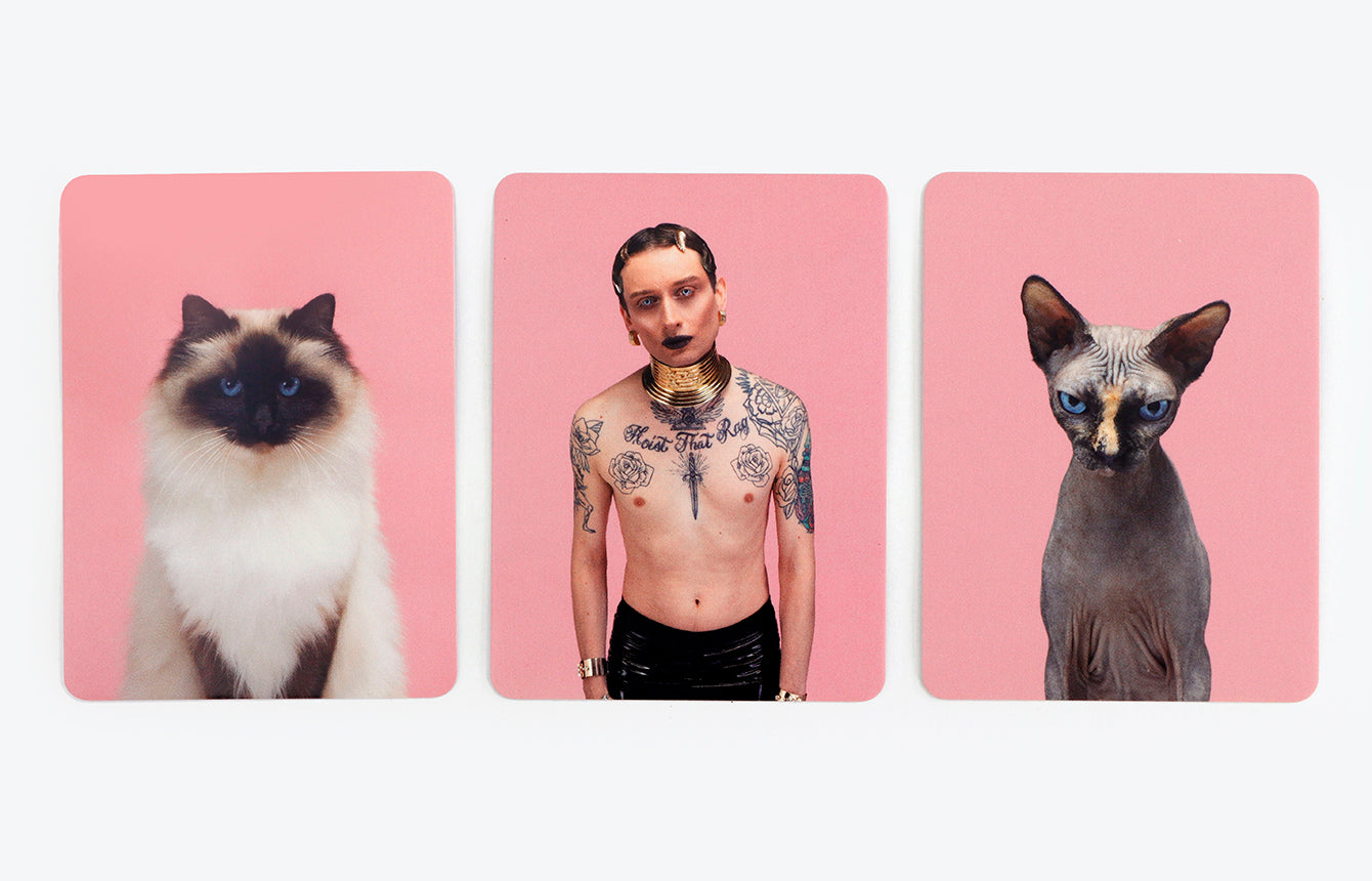 
                  
                    Siehst Du Aus Wie Deine Katze Memo Game
                  
                