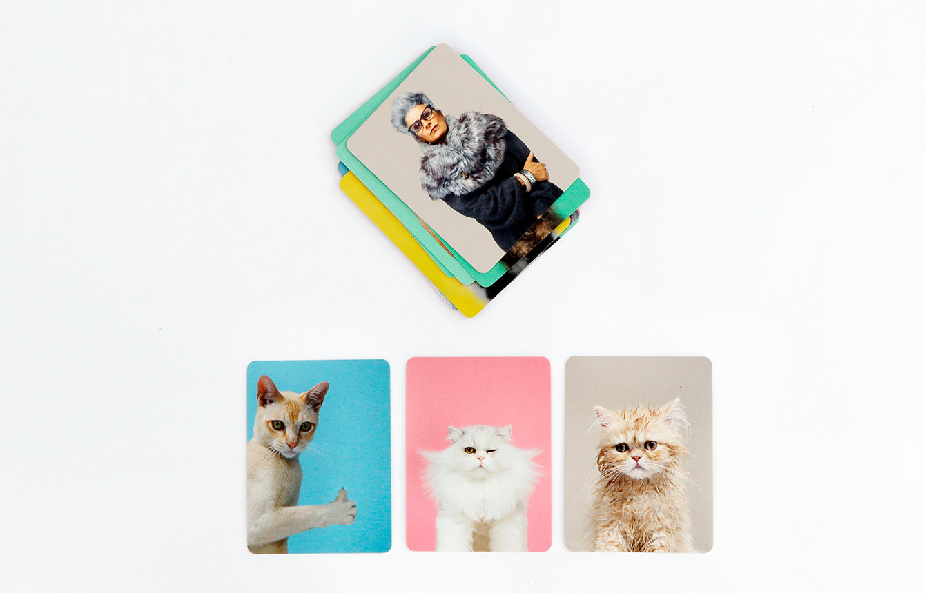
                  
                    Siehst Du Aus Wie Deine Katze Memo Game
                  
                