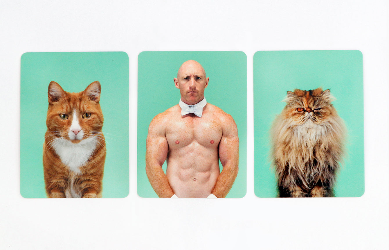 
                  
                    Siehst Du Aus Wie Deine Katze Memo Game
                  
                