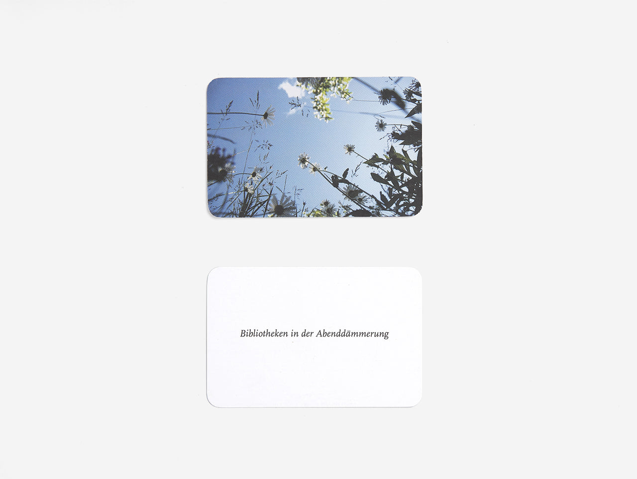 
                  
                    Kleine Freuden Card Set
                  
                