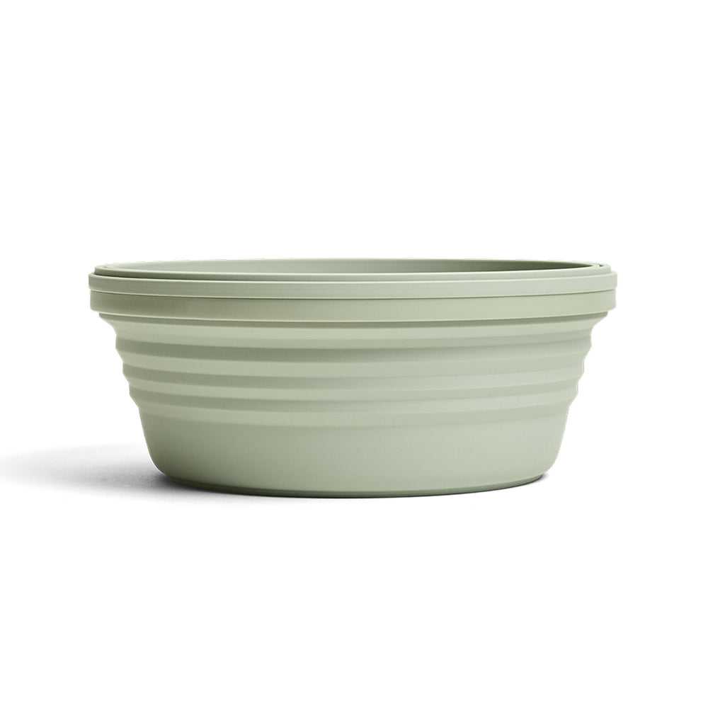 
                  
                    36 oz Sage Green Collapsible Bowl
                  
                
