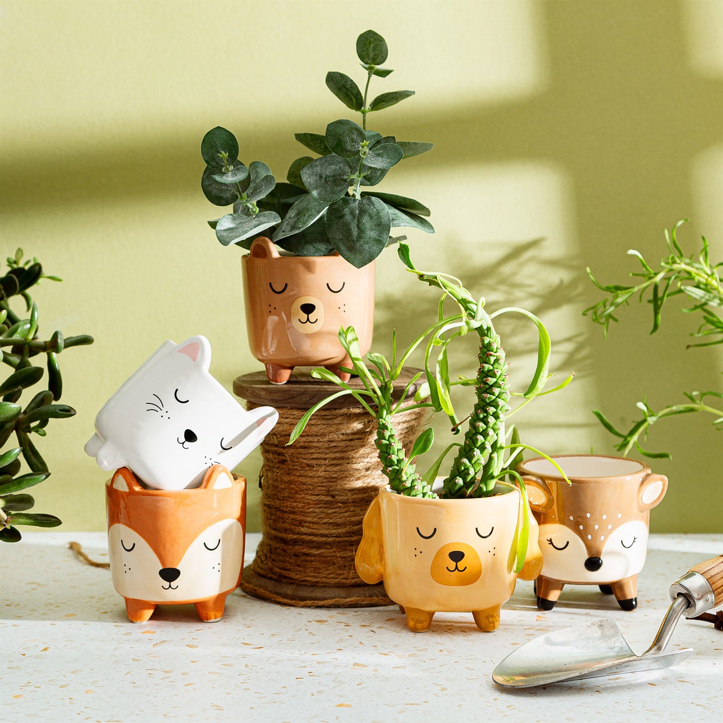 
                  
                    Mini-Hirsch-Übertopf
                  
                