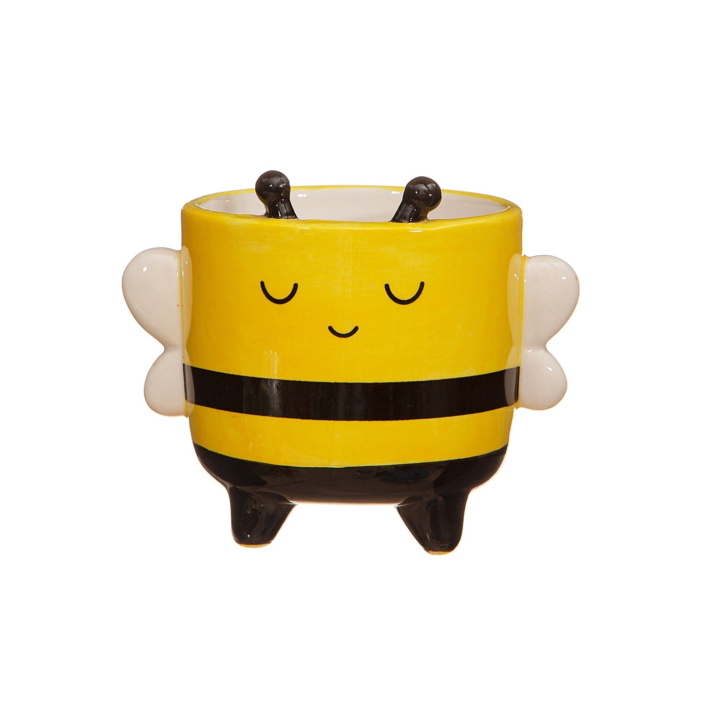 
                  
                    Mini-Bienenpflanzer
                  
                