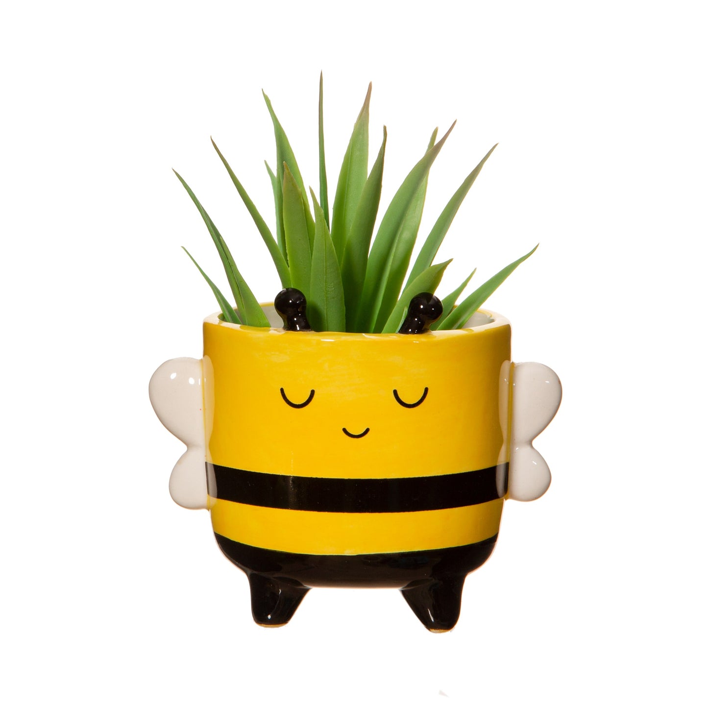 
                  
                    Mini-Bienenpflanzer
                  
                