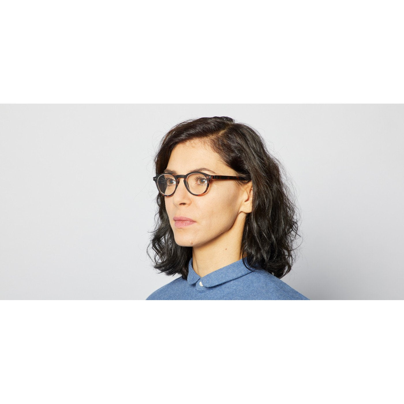 
                  
                    #A Tortoise Reading Glasses
                  
                
