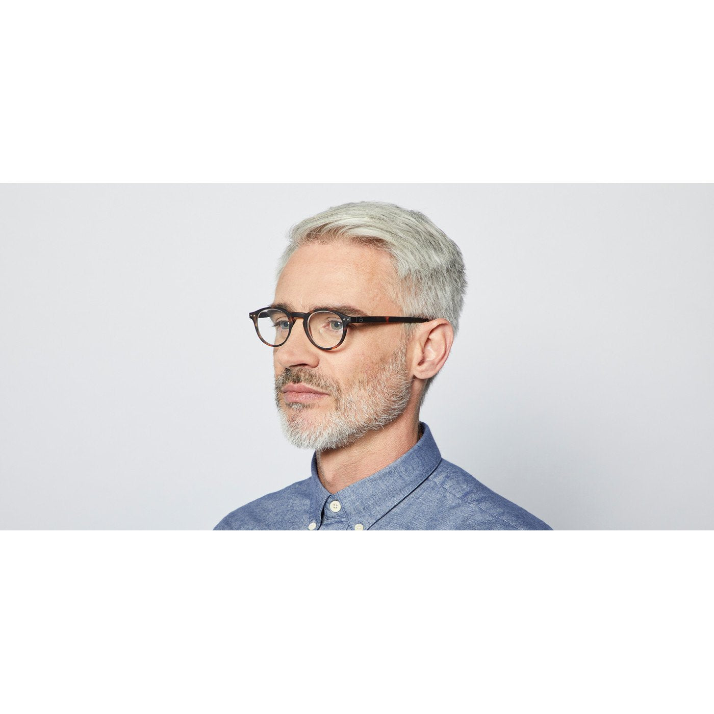 
                  
                    #A Tortoise Reading Glasses
                  
                
