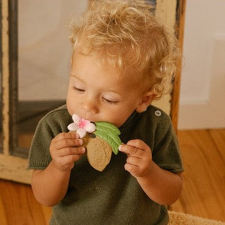
                  
                    ALY The Almond Teething Ring
                  
                