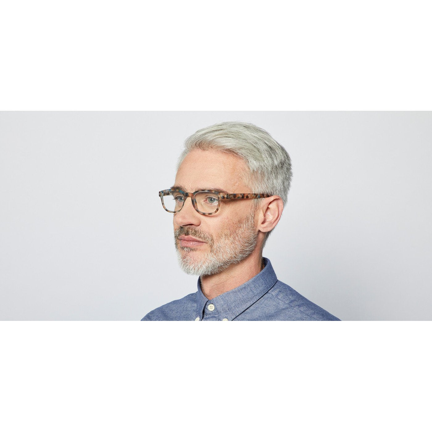 
                  
                    #B Blue Tortoise Reading Glasses
                  
                