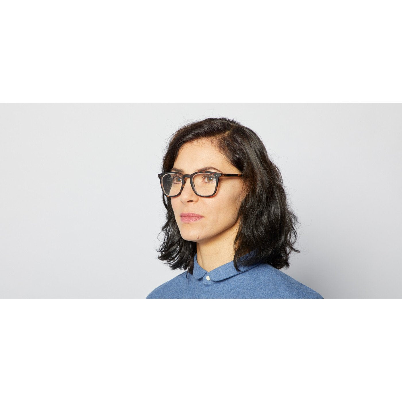 
                  
                    #E Tortoise Reading Glasses
                  
                