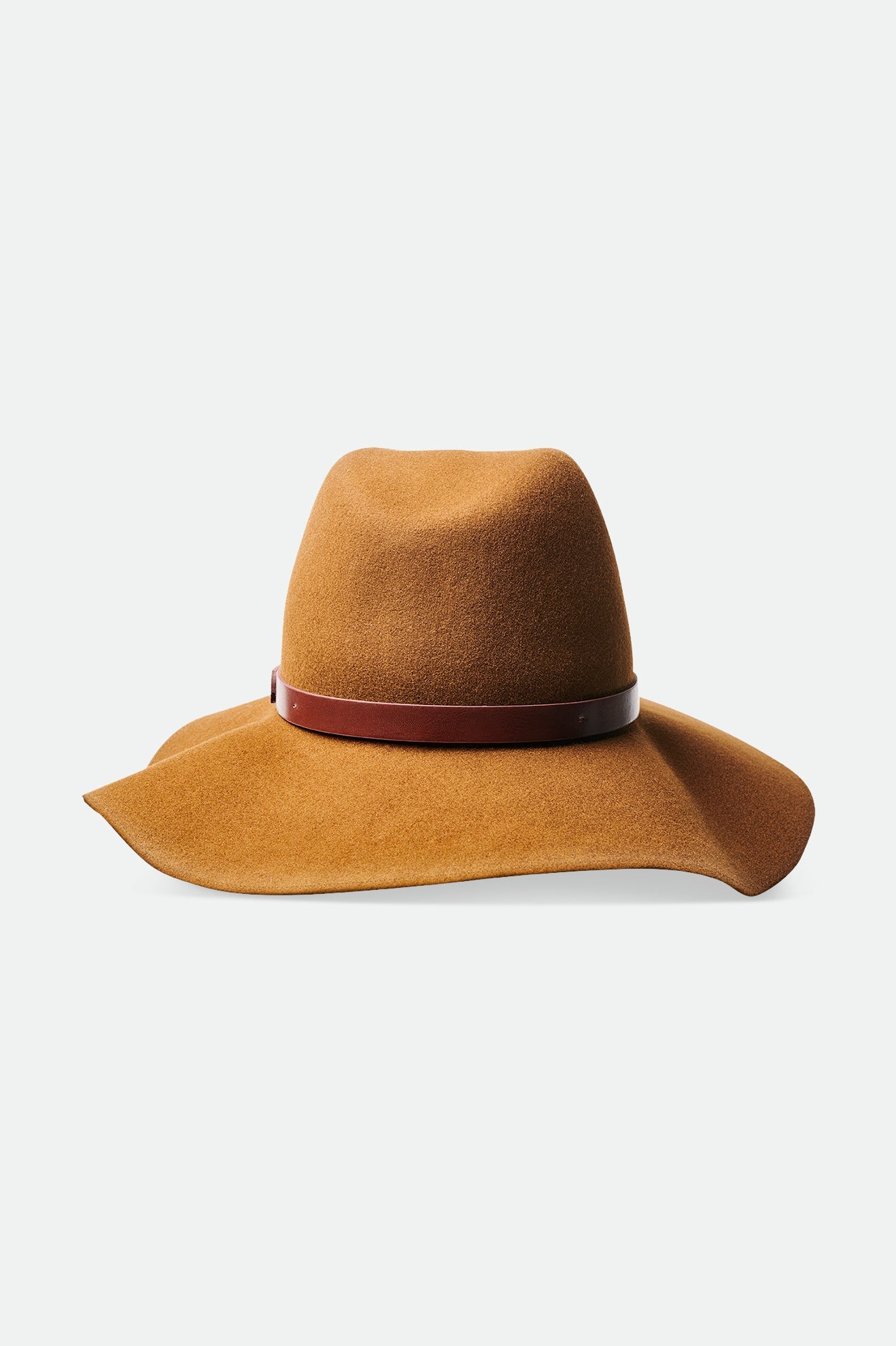 
                  
                    LAYTON Coffee Wool Felt Hat
                  
                