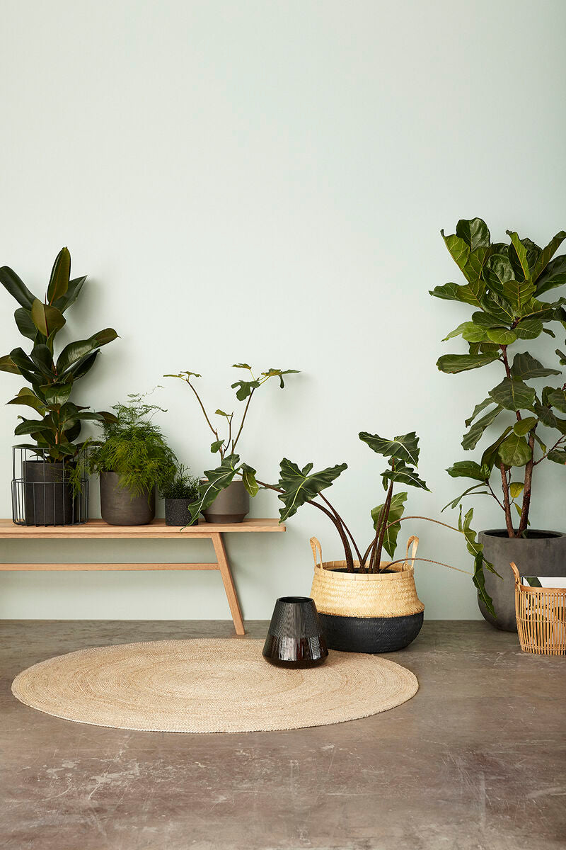 
                  
                    Kleiner Natur-Bambus-Hickory-Korb
                  
                