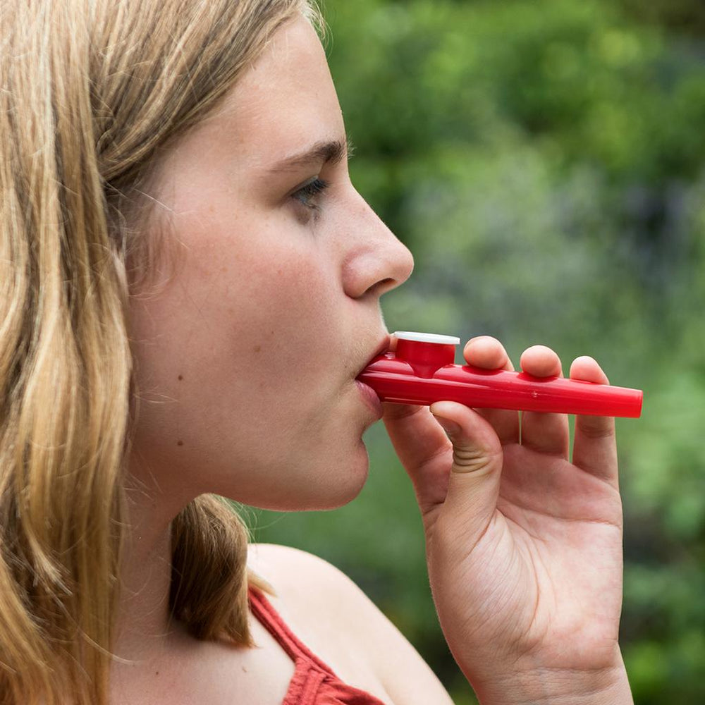 
                  
                    Kazoo Game
                  
                
