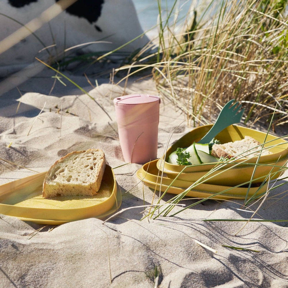 
                  
                    Sandygreen Bio Lunchkit
                  
                