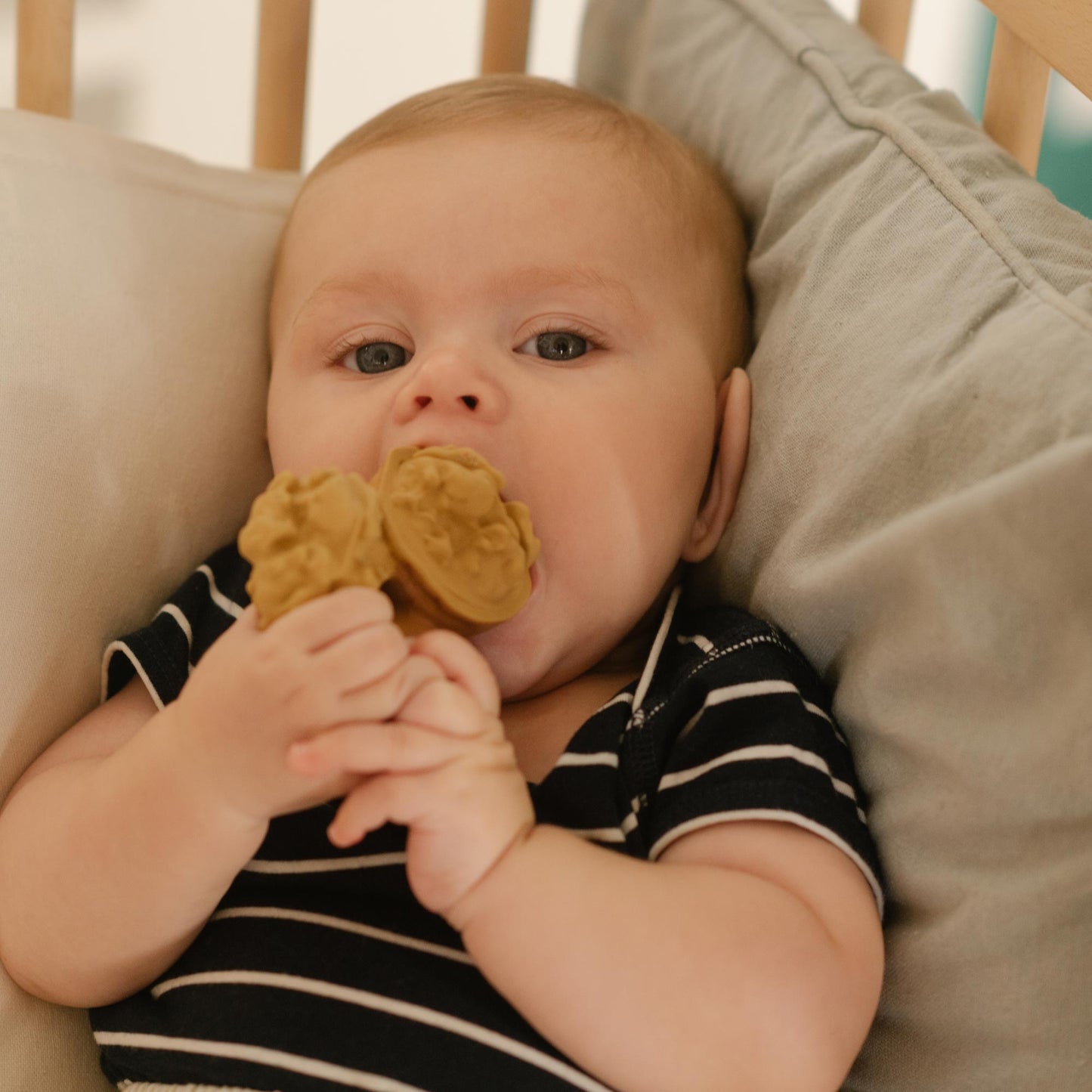 
                  
                    NUTTY The Nut Teething Ring
                  
                