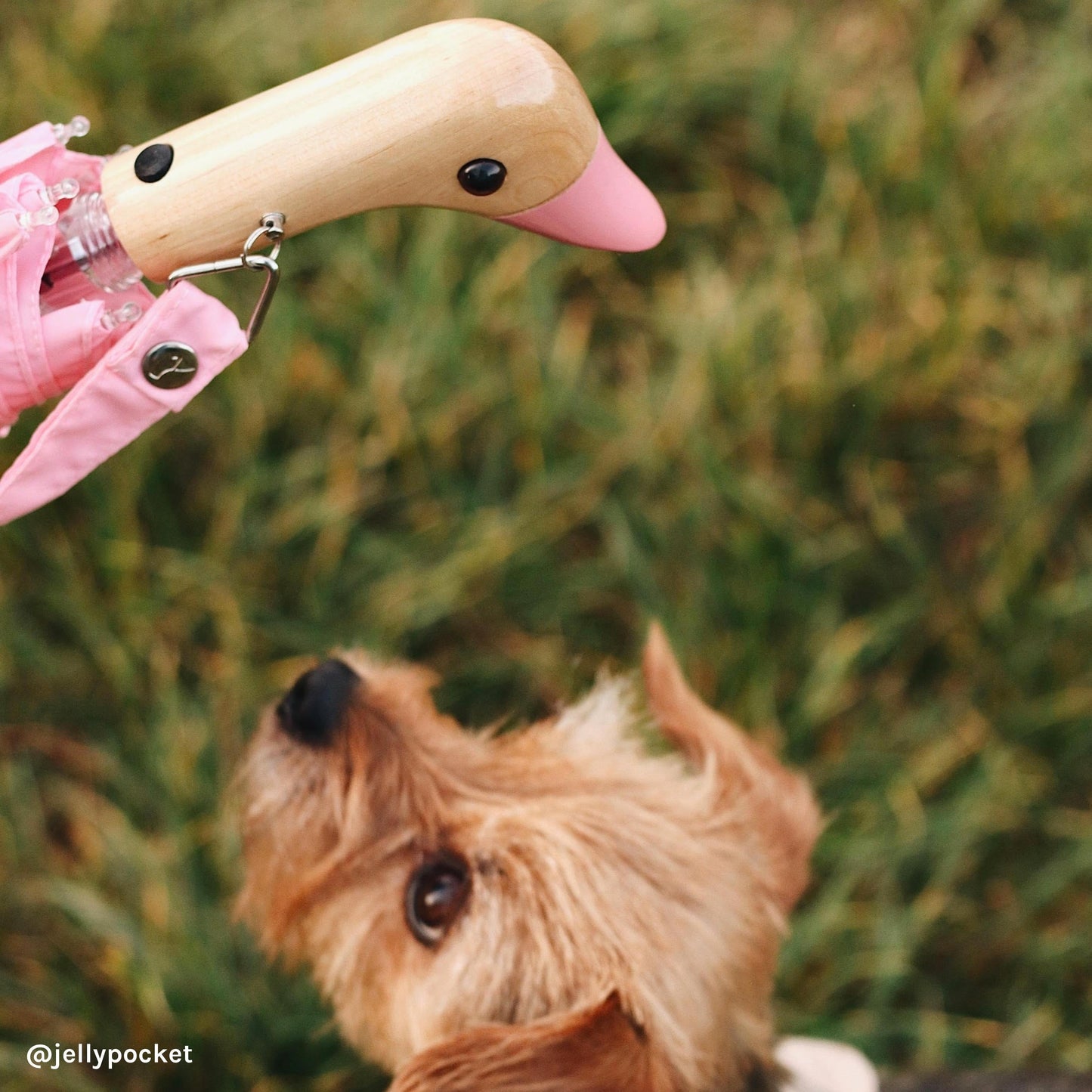 
                  
                    Pink Compact Eco-Friendly Wind Resistant Umbrella
                  
                