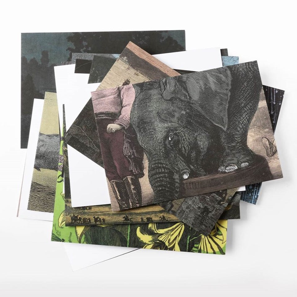 
                  
                    Untranslateable Words Card Set
                  
                